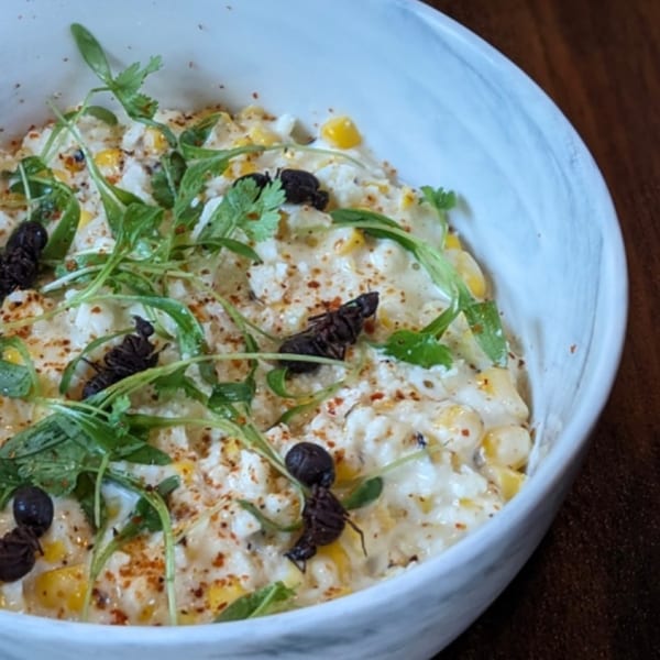 Chicatana's esquites with corn, cheese, cilantro, chili powder, and Chicatana ants in a white bowl.